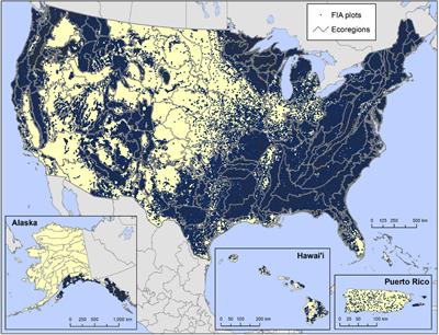 Non-native tree regeneration indicates regional and national risks from current invasions